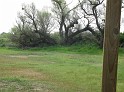 Picture 02410